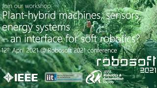 Plant-hybrid machines, sensors, energy systems – an interface for soft robotics? screenshot 5