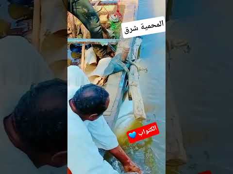 المحمية شرق الكتواب نهر النيل شندي عطبرة السودان