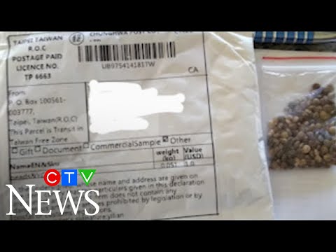 Unsolicited seeds showing up in Canadian mailboxes and they were sent from China