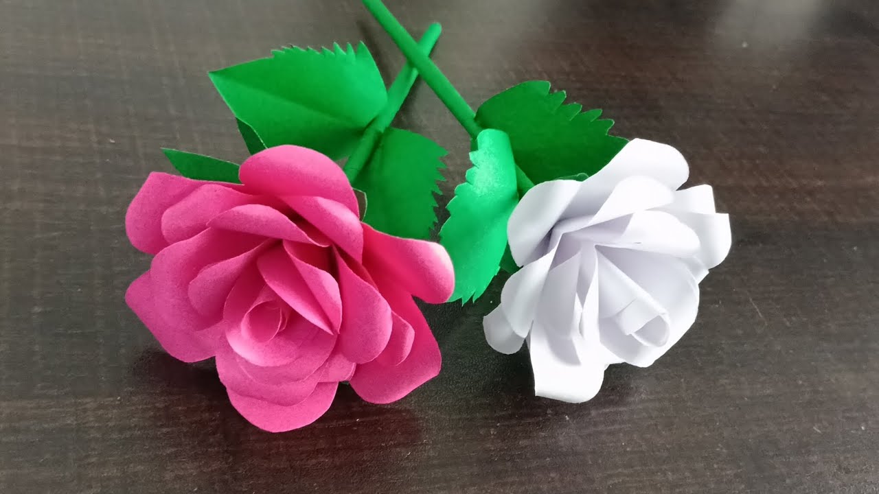 Simple and beautiful rose flower using colour paper 🌹//DIY//Craft//paper flower craft//elanvlogs 