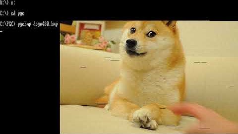 MAME showcase: IBM Professional Graphics Controller (1984) feat. Shige & Maru :-)