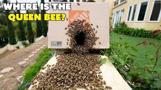 Part 2 - This One Is WAY Bigger!