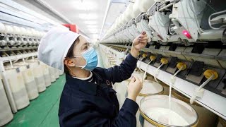 Employment and labor rights in Xinjiang: The true picture