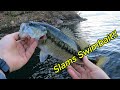 Spotted Bass Slams Swimbait Right at the Boat!!