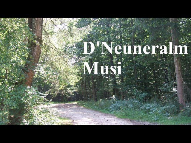 D Neuneralm Musi - Bariton Landler