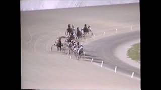 1995 Scioto Downs MY LAAG HILL Mel Turcotte 2YO C&G Series Pace $3,000