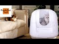 5 Amazing Cat Gadgets You Never Knew About