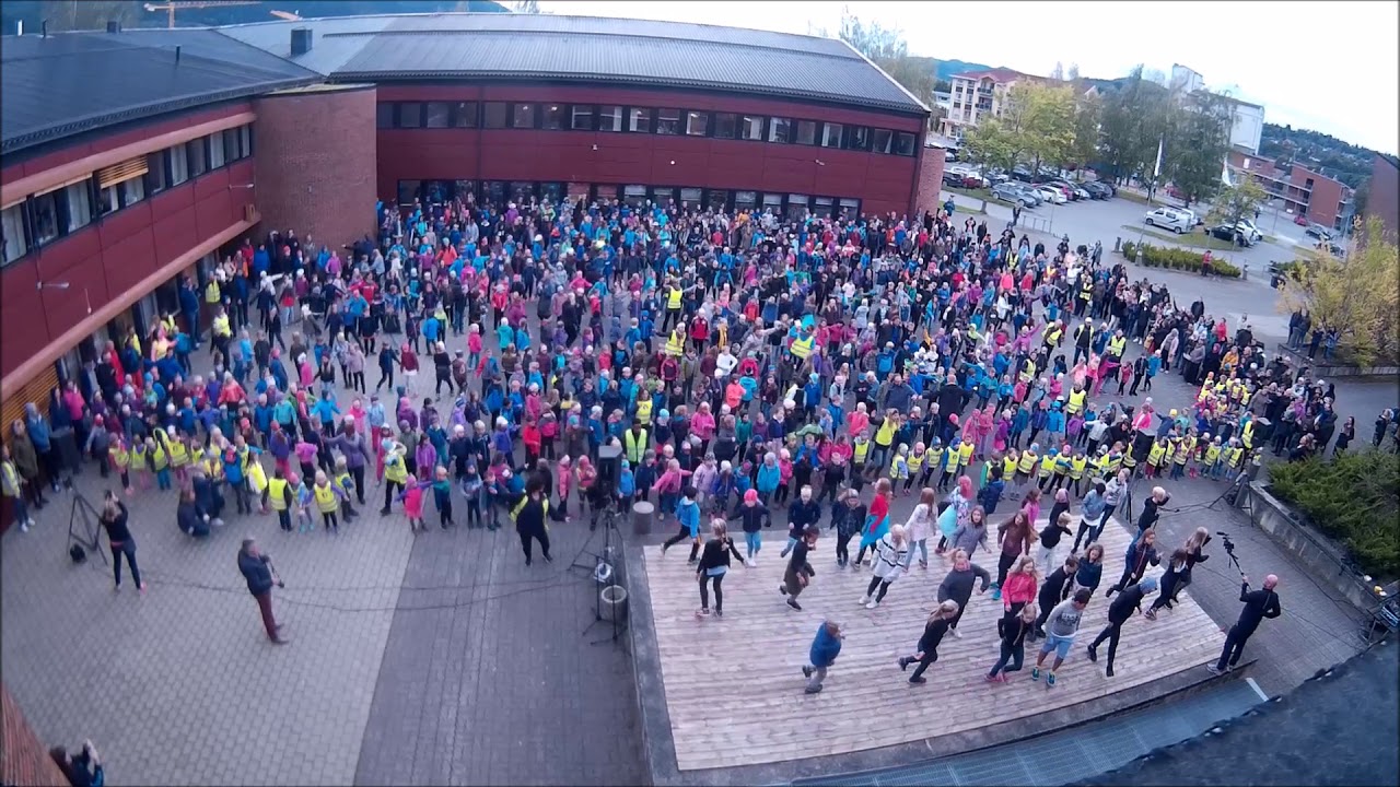 BlimE 2017 Høyeggen, Gimse og Brekkåsen Skole