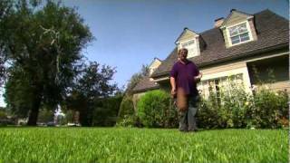 The Green Obsession - The Hunt For The Perfect Lawn