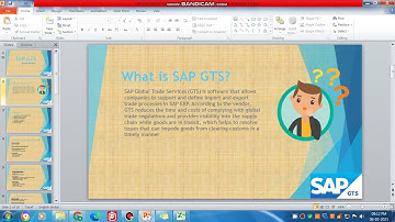 SAP GTS   Demo 1   A simple overview
