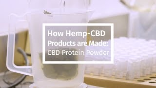 How Hemp-CBD Products are Made: CBD Protein Powder