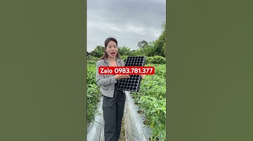Khay ươm hạt giống giúp cây sinh trưởng phát triển tốt giá rẻ !
