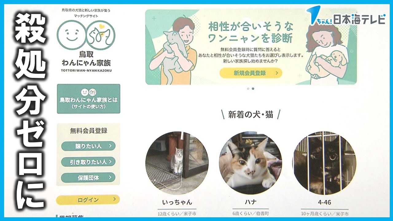 譲渡促進】殺処分ゼロへ 犬猫のマッチングサイト開設『鳥取わんにゃん