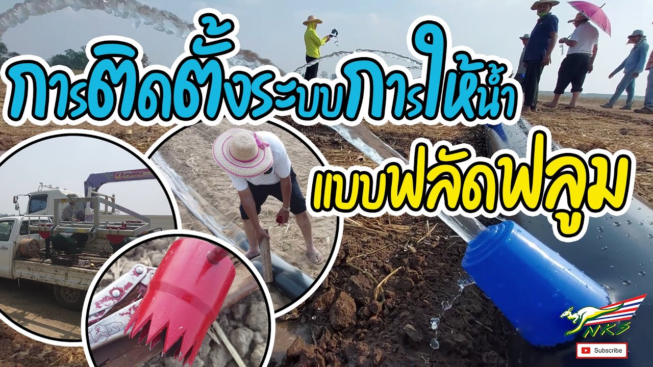 สาธิตการให้น้ำด้วยระบบฟลัดฟลูม : By. NKS