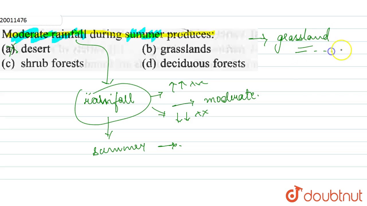 Moderate rainfall during summer produces: