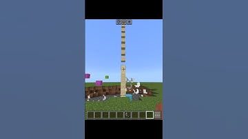 Minecraft logic #shorts