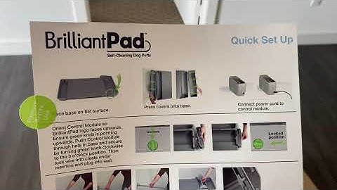 Brillantpad - Peepad Dogs