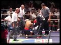 Boxe thai  johnny catherine vs kamel jemel  le ko