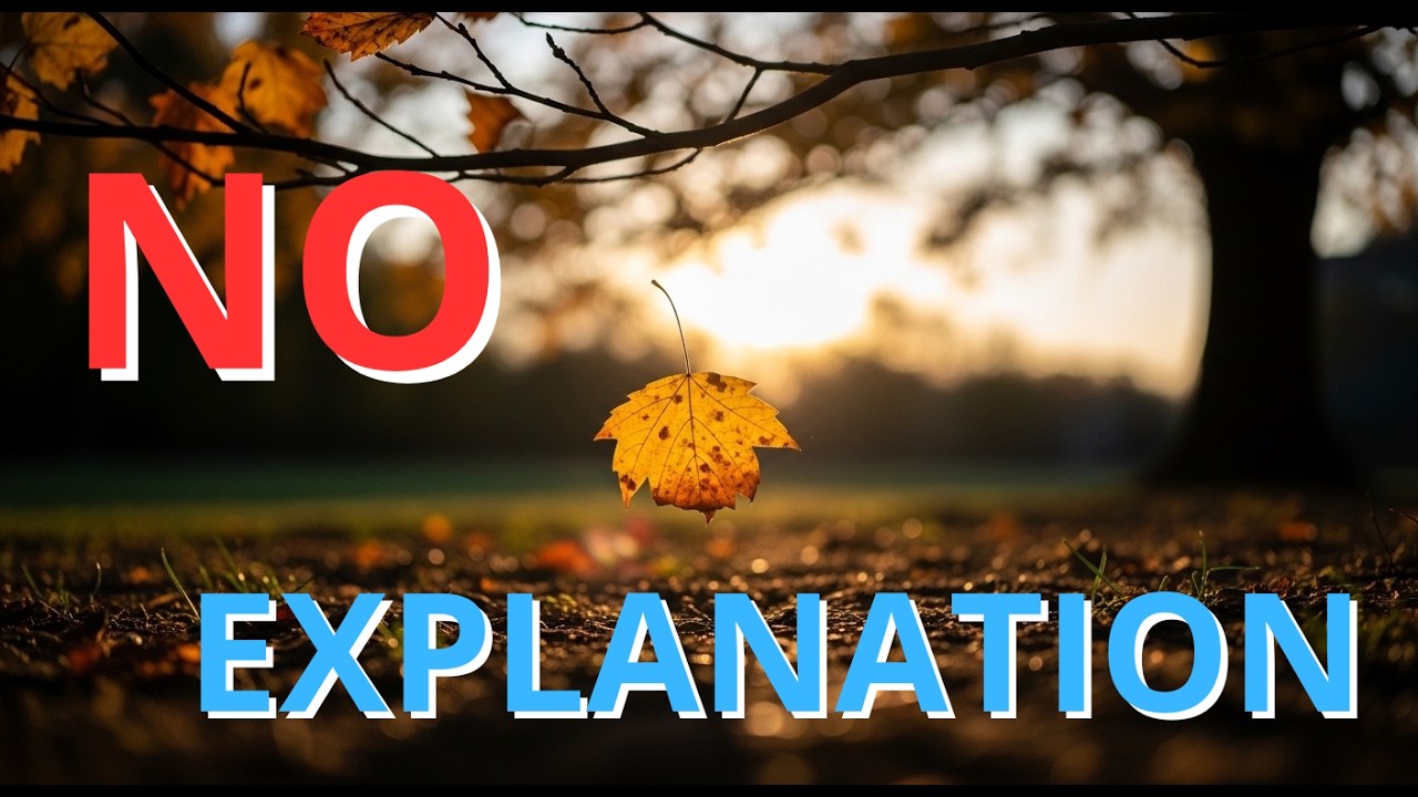 The Pace You're Moving At Doesn't Need Anyone's Permission