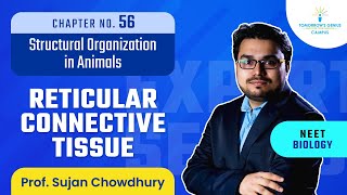 Reticular Connective Tissue | Structural Organization in Animals | NEET | Biology - TG Campus