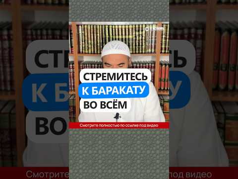 Стремись к баракату во всём #Shorts Ринат Абу Мухаммад