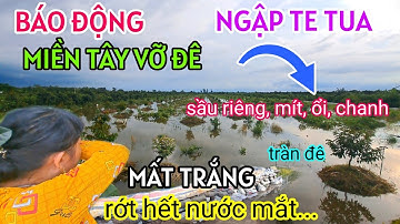 BÁO ĐỘNG MIỀN TÂY VỠ ĐÊ NGẬP LỤT KHẮP NƠI SẦU RIÊNG, MÍT, ỔI NGẬP NẶNG NÔNG DÂN KHỔ RỚT HẾT NƯỚC MẮT