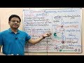 Chemotherapy of Antibiotics (Part-14)= Quinolones =Introduction and Mechansim of Action (HINDI)