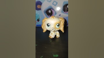 Looking at differences between new and old lps! #lps #lpsseries #lpspopular #lpsvideo #newlps