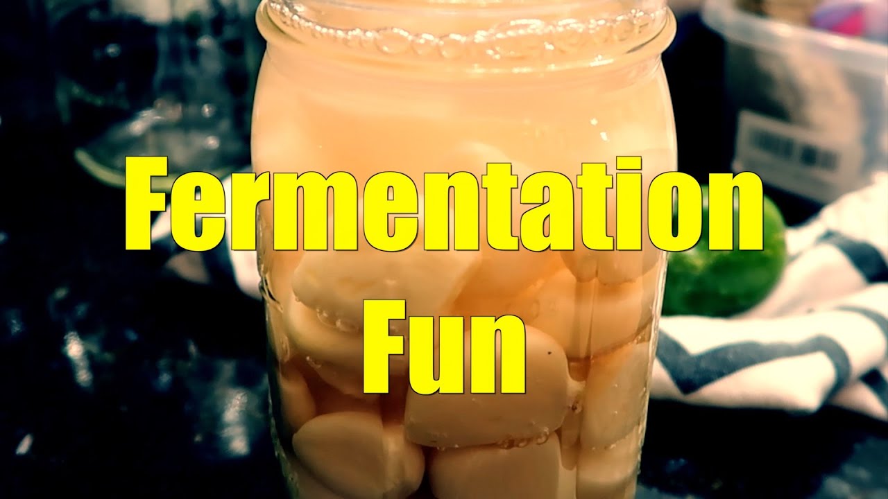 Fermentation Fun! - YouTube