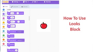 How to use Looks Blocks in Scratch | Scratch Programming For Beginners | Tutorial 3
