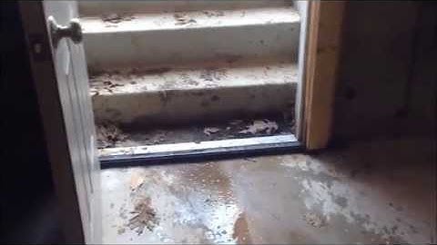 Leaky Bulkhead Entrance and Cellar Door Repair (CT, MA, NH, VT) - Attack A Crack