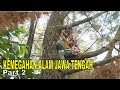 KEMEGAHAN ALAM JAWA TENGAH | JEJAK PETUALANG (02/06/24) Part 2