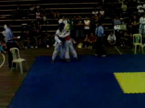 palarong wup08 taekwondo event