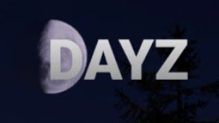DAYZ/ ' crafting hand drill kit'