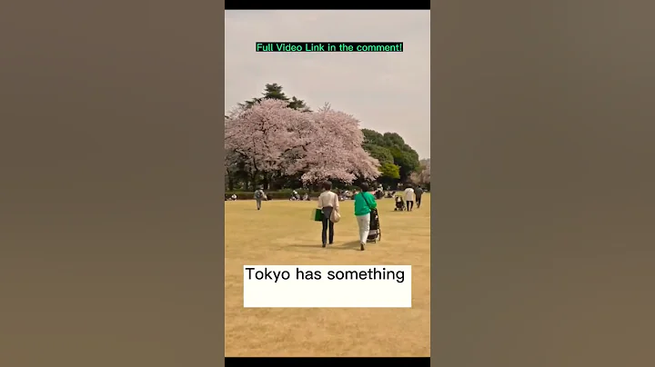 Best Place To Visit in The World, Tokyo - Travel Video #shorts