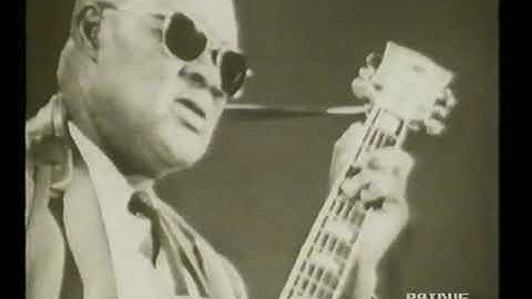 Reverend Gary Davis  If I Had My Way  (  1992 Italian TV Rebroadcast)