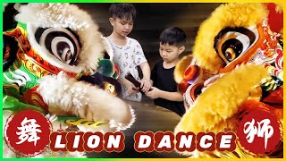 How Lion Dance Training is Transforming Lives and Unlocking a Cultural Legacy! 舞狮 ｜Múa Lân