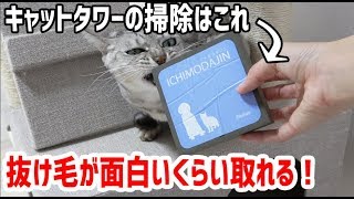 一毛打尽でキャットタワーの掃除をしてみた…面白いくらいに抜け毛がとれる