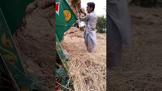 👉 Wheat Thresher Machine in Village Pakistan 🌾 #shorts #villagelife #peacefullife