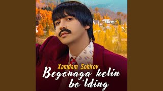 Begonaga Kelin Bo’lding - Xamdam Sobirov