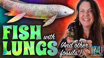 Lungfish are Awesome - Opalised Fossils at Lightning Ridge