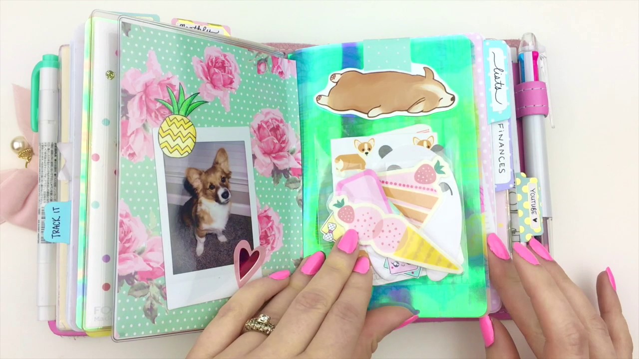 Foxy Fix No. 3 Setup, Botanical Rose