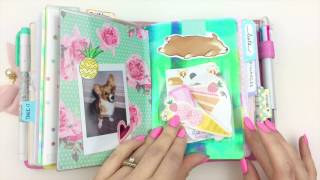 Foxy Fix No. 3 Setup, Botanical Rose