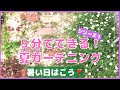 【ガーデニング】猛暑対策！【５分❣️de おしゃれ　庭づくり】　DIYレンガの小道のレンガの花壇エリゲロンの切り戻し　タイムグランドカバー　次は5分で寄せ植え♪　初心者さんもぜひみてね。YouTube