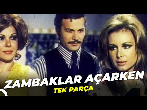 Zambaklar Açarken | Filiz Akın Kartal Tibet Eski Türk Filmi Tek Parça