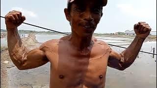 Kuli Berotot Natural Mempunyai urat otot binaragawan