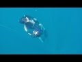 Rescue Dive - Free diving , Koh Tao, Blue-immersion.