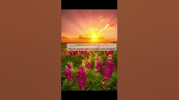 سورة المطففين من الآية (٢٧) إلي الآية ((٣٣) بصوت القارئ إسلام صبحي