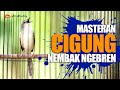 MASTERAN CIBLEK GUNUNG GACOR