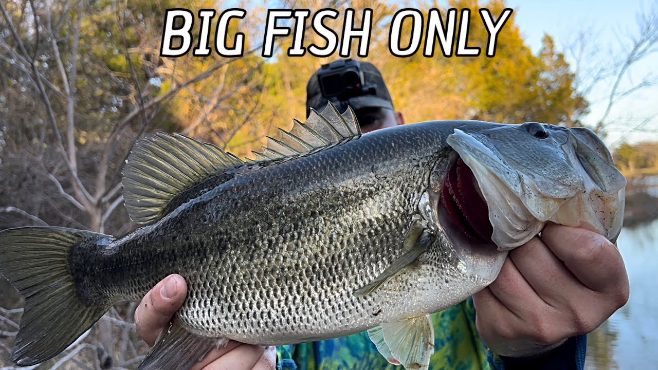 Texas Snow Storm makes BIG Bass go CRAZY!